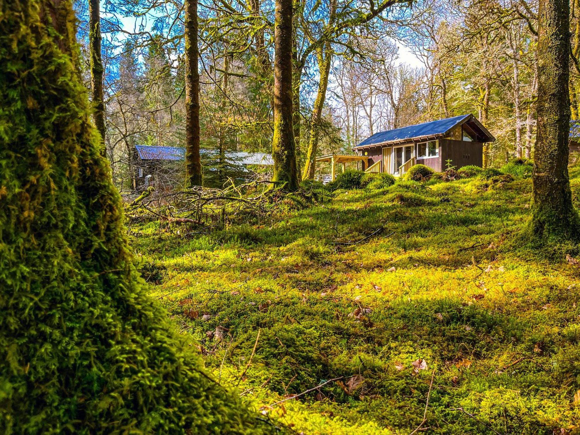 Loch Aweside Forest Cabins Dalavich Kamer foto